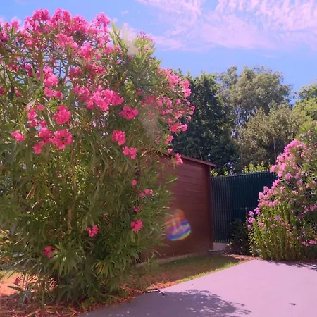 Ti Kerbiniou - Maison Familiale - Remparts à 600 M Hébergement de vacances